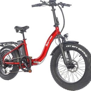Narrak Electric Bicycles 500W/750W Brushless Motor, 48V Removable Battery, 13Ah, Folding Bike, 20” Fat Tire, Step Over/Step-Thru Frame, 28Mph Max Speed LCD Large LCD Display, Mountain e-Bike, Snow Electric Bike For Adults
