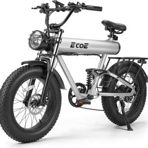 Adult Electric Bike 1200W Motor 32MPH, 48V 20AH Removable Battery EBike 20x4.0 Fat Tires, Beach Mountain Electric Off-Road Bike with Dual Shock Absorbers