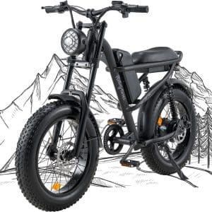 Riding'times 1500W Winter Moped Style Ebike, 20 Inch Fat Tire Electric Bike, Up to 28MPH & 75 Miles, 6-Layer Full Suspension, 15.6AH Removable Battery, Mountain Snow E Bike